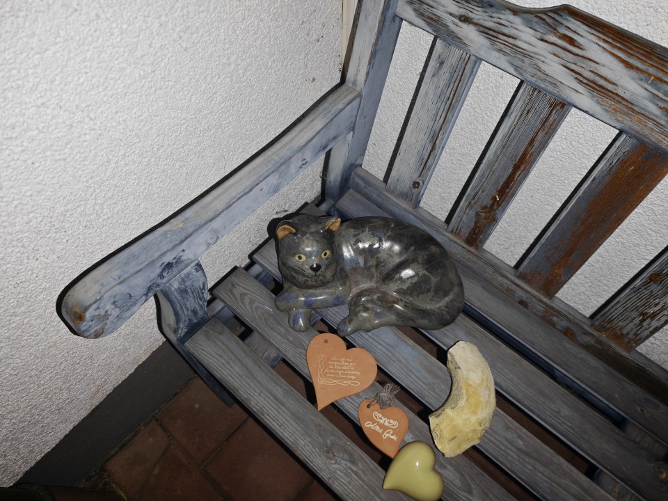 Xiaomi 17 Pro Kamera Haupt Blitz