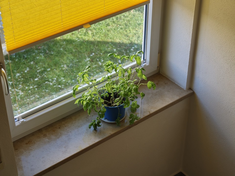 Oppo Find X9 Pro Kamera Tele Tag Standard