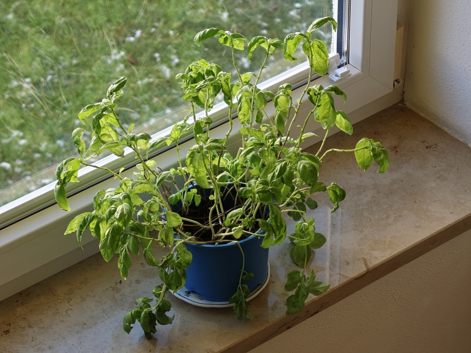 Oppo Find X9 Pro Kamera Tele Digitalzoom