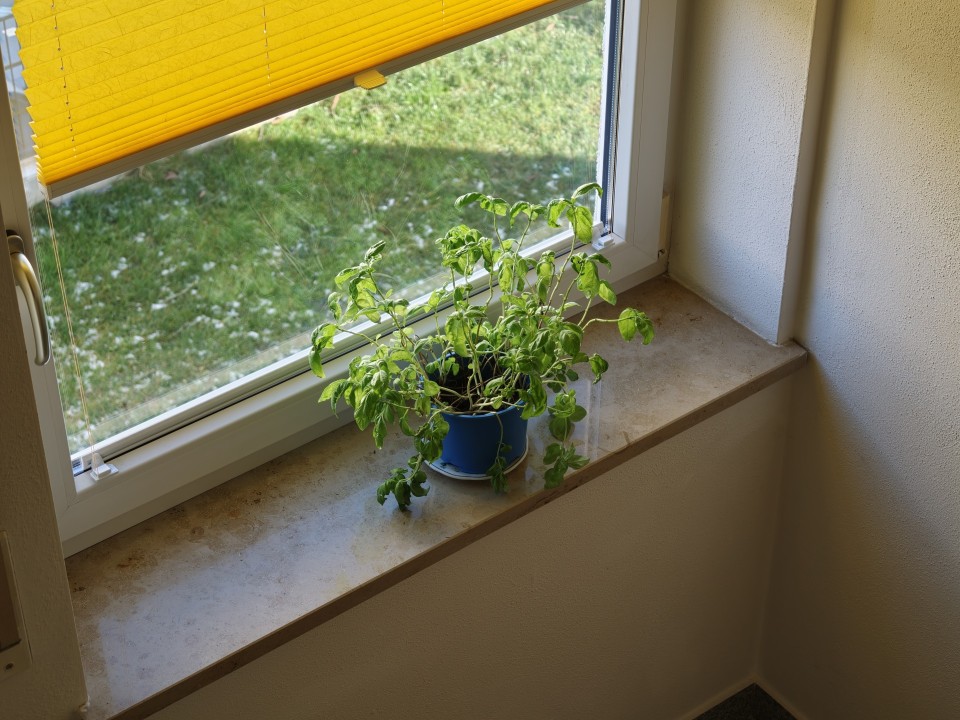 Oppo Find X9 Pro Kamera Tele Tag 50MP