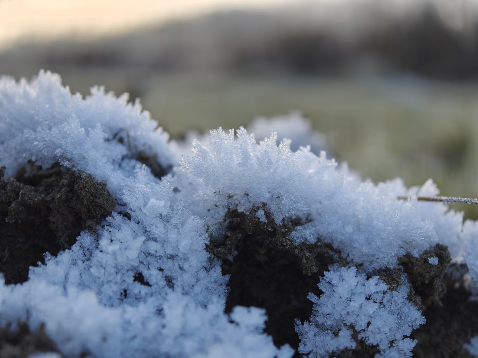 Oppo Find X9 Pro Kamera Makro