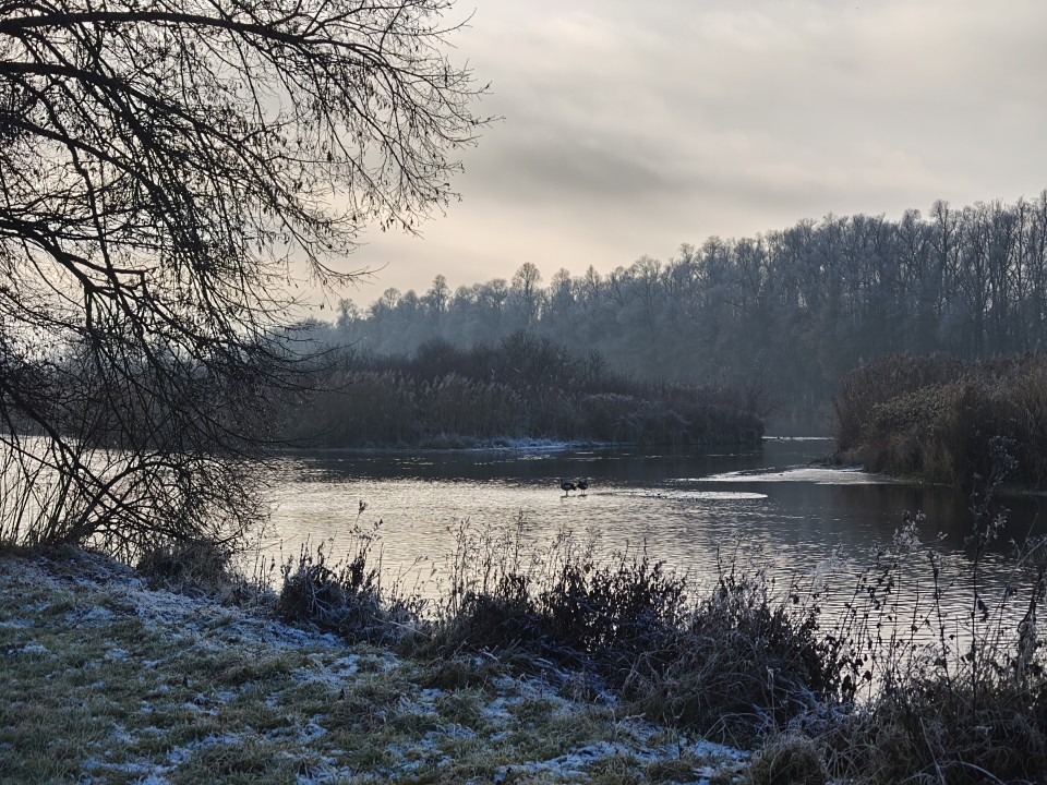 Oppo Find X9 Pro Kamera Tele Tag Standard