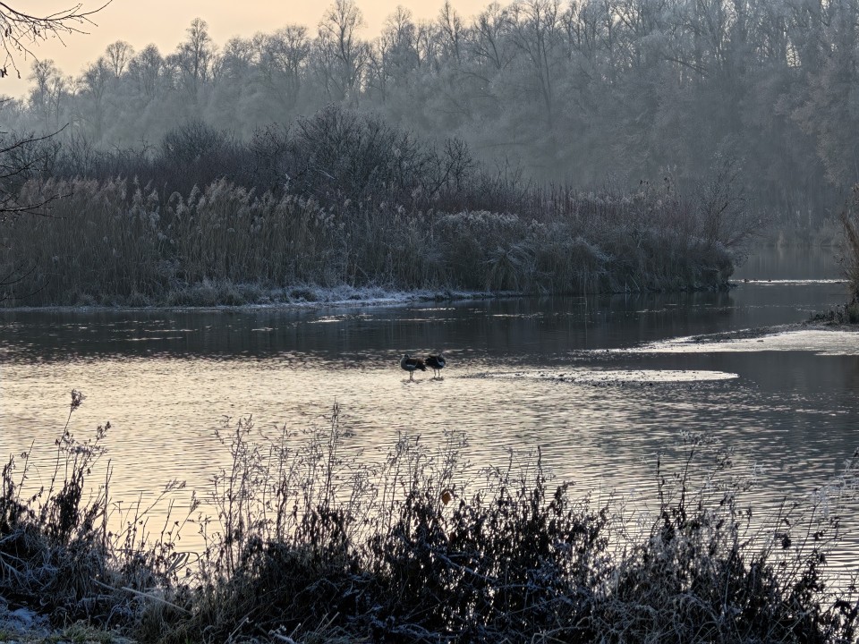 Oppo Find X9 Pro Kamera Tele Digitalzoom