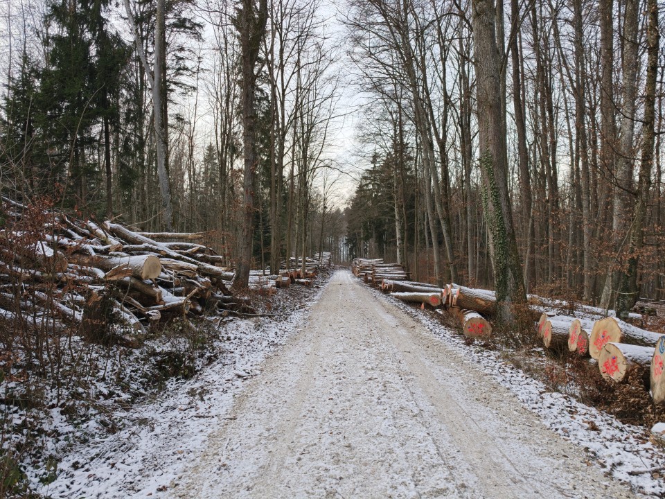 Oppo Find X9 Pro Kamera Haupt Tag Standard