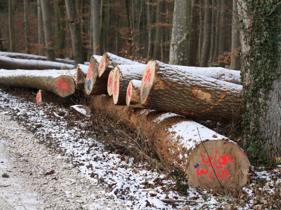 Oppo Find X9 Pro Kamera Portrait