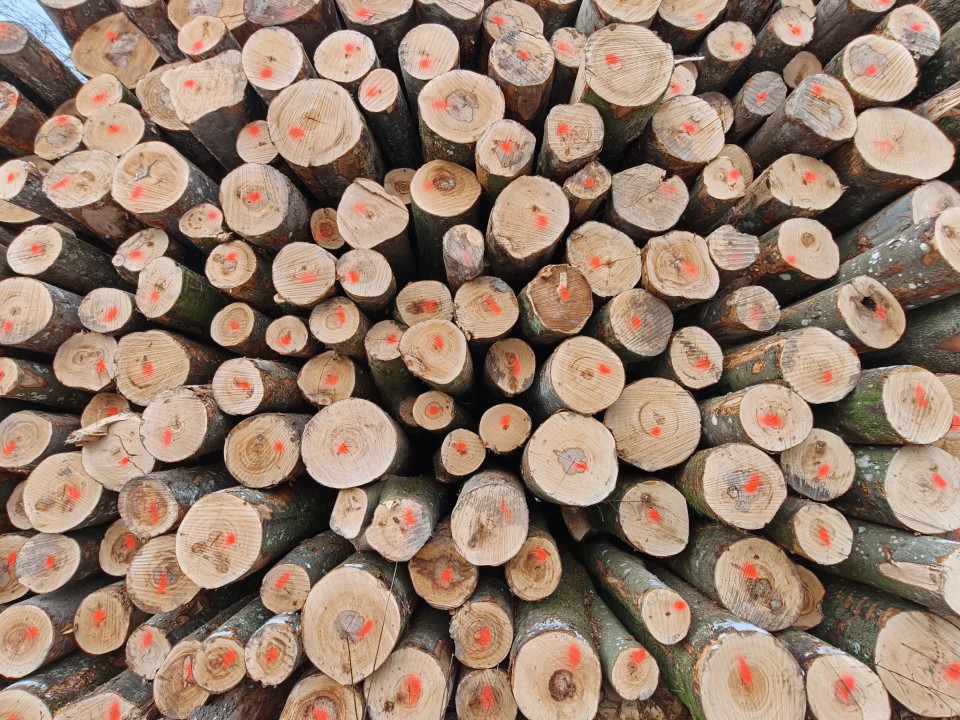 Oppo Find X9 Pro Kamera Ultrawide Tag Standard