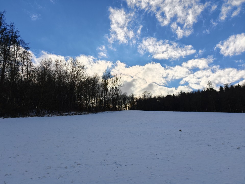 Oppo Find X9 Pro Kamera Haupt Tag 50MP