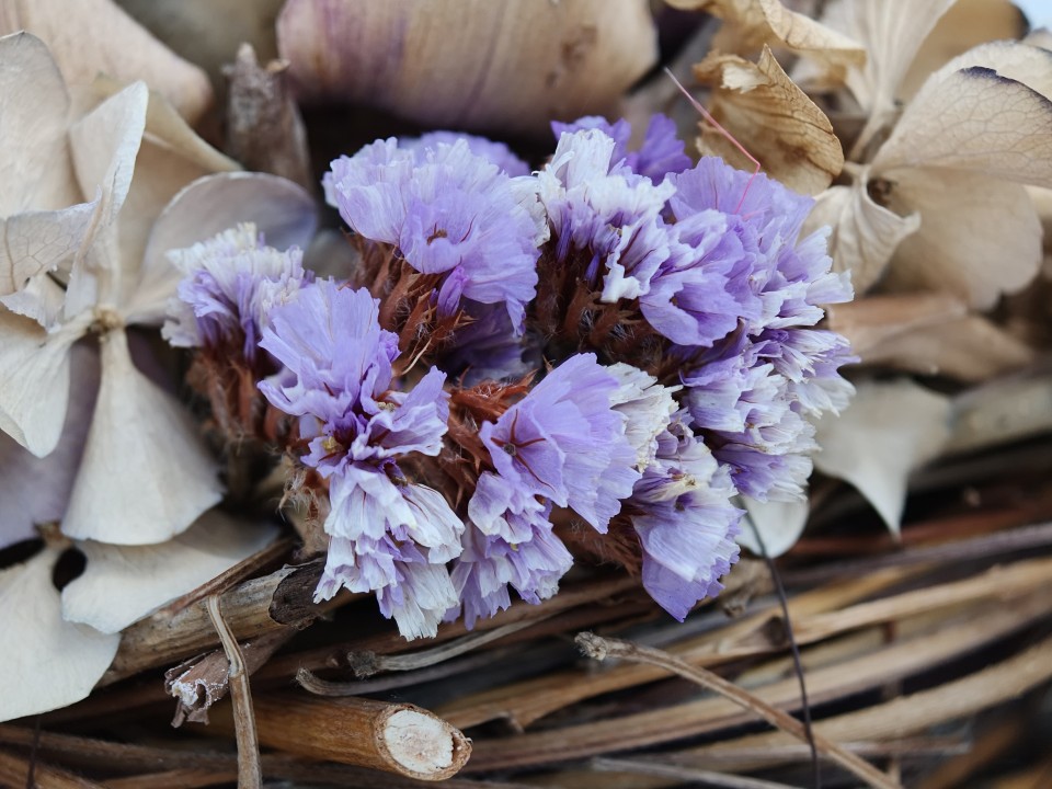 Oppo Find X9 Pro Kamera Makro