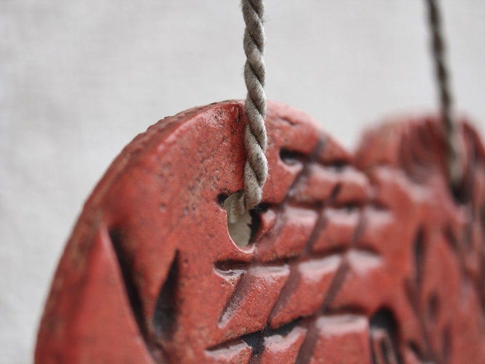 Oppo Find X9 Pro Kamera Makro