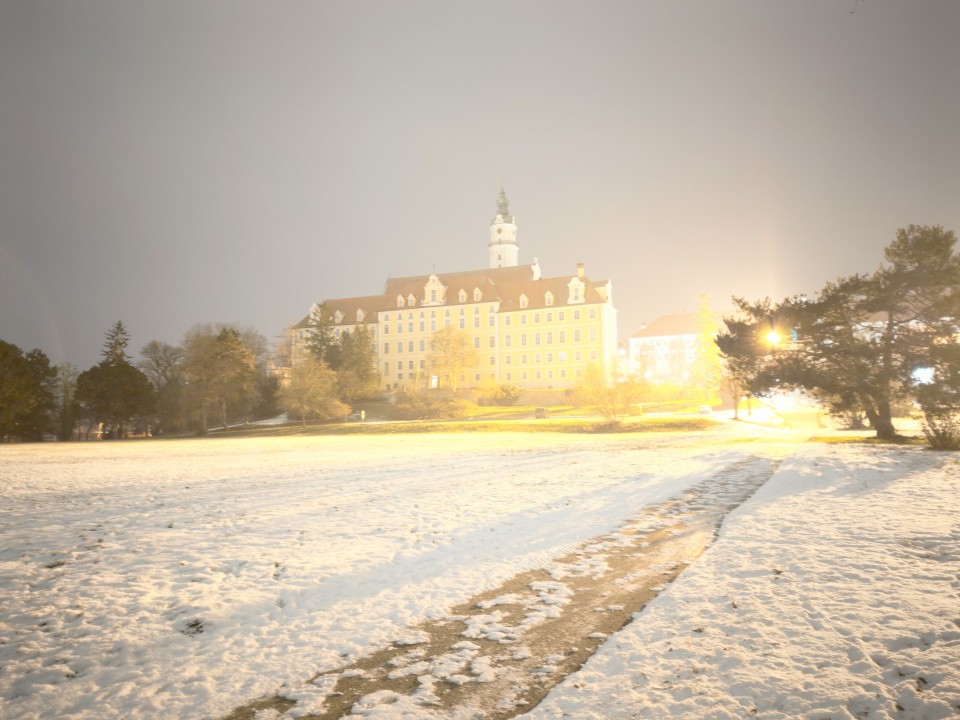 Oppo Find X9 Pro Kamera Haupt Pro Modus