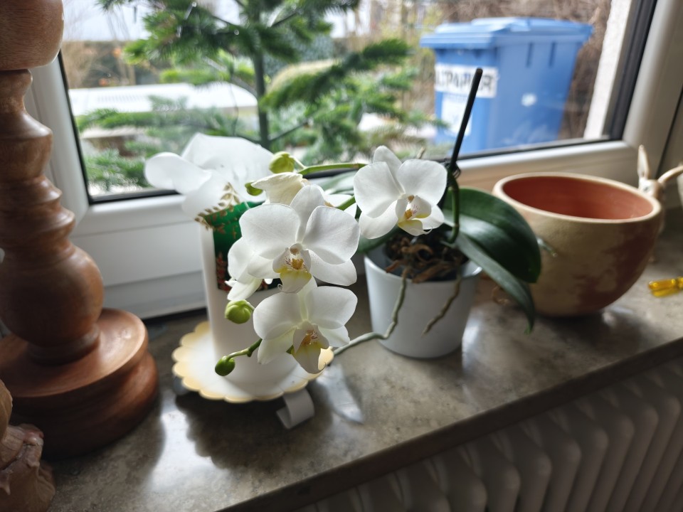 Poco F8 Pro Kamera Haupt Tag 12MP