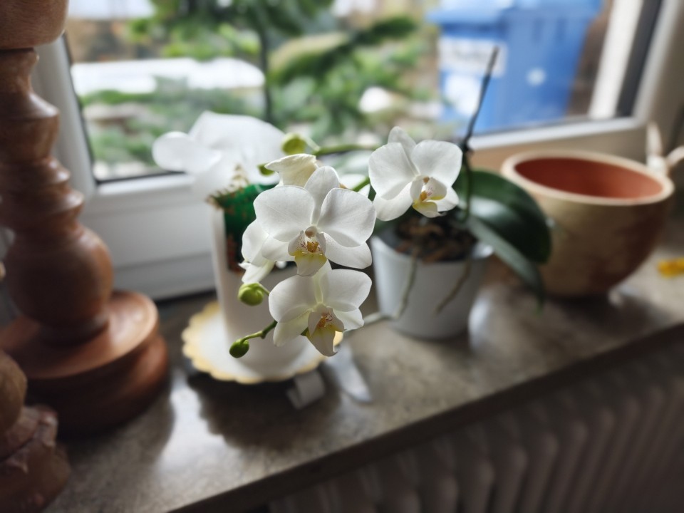 Poco F8 Pro Kamera Portrait