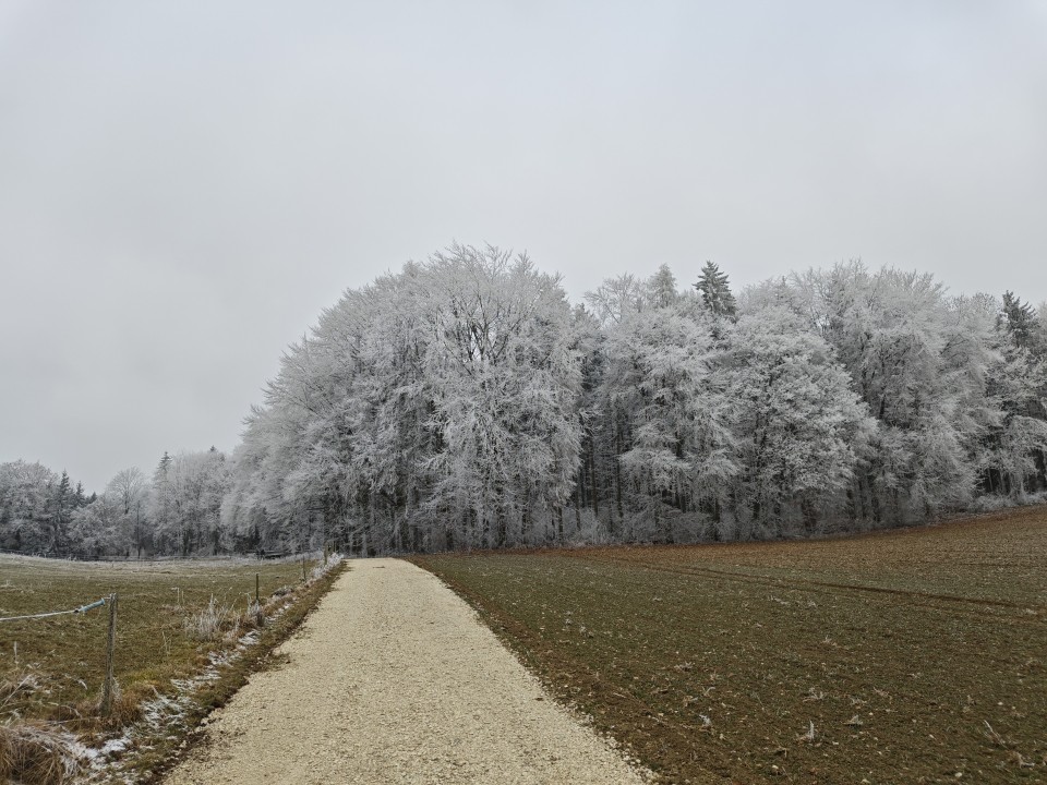 Poco F8 Pro Kamera Haupt Tag 12MP