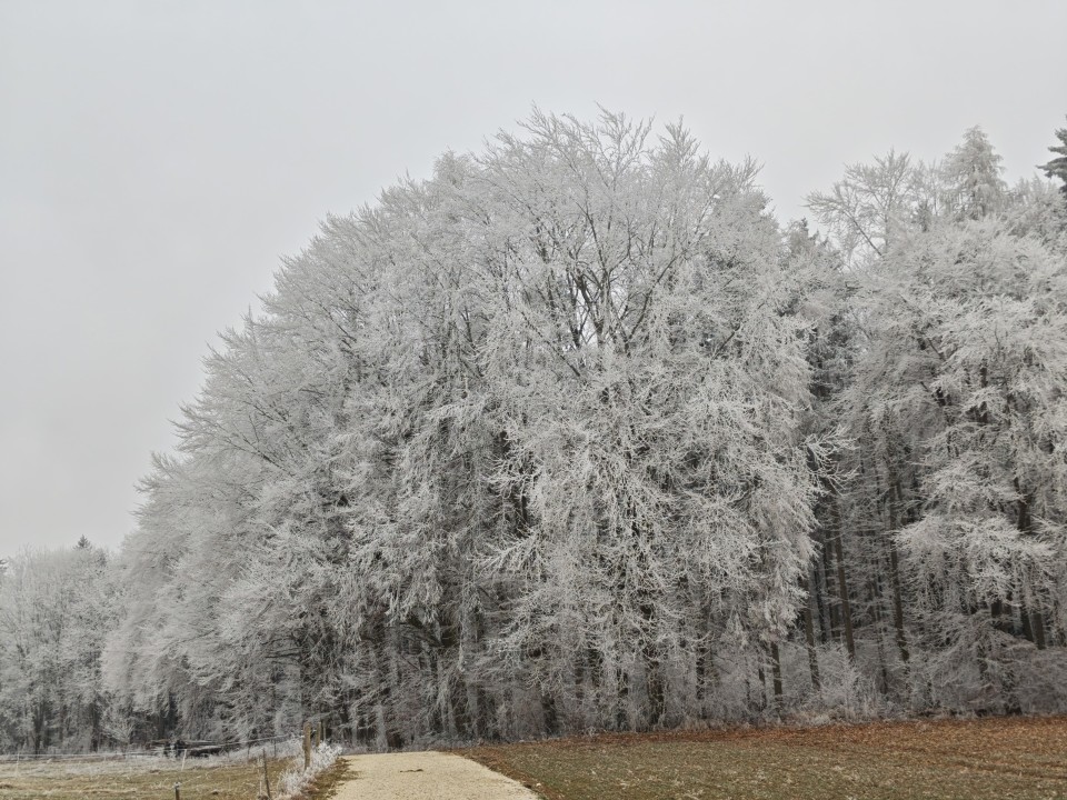 Poco F8 Pro Kamera Haupt Digitalzoom