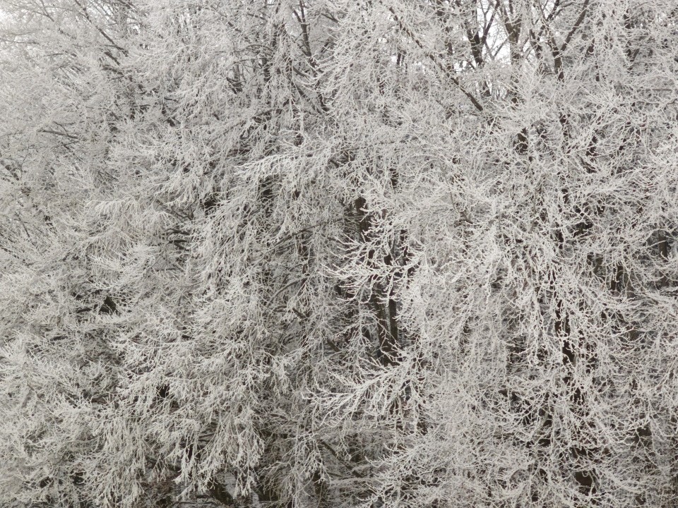 Poco F8 Pro Kamera Tele Digitalzoom