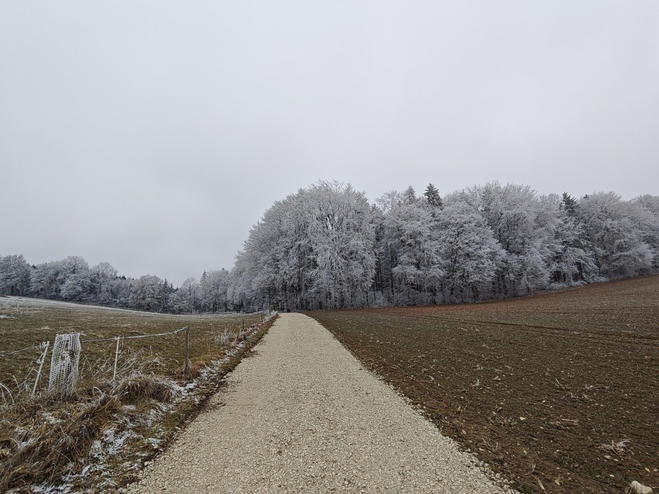 Poco F8 Pro Kamera Ultrawide 8MP Tag