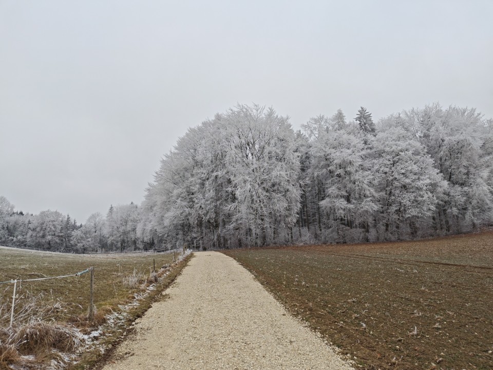 Poco F8 Pro Kamera Haupt 50MP Modus