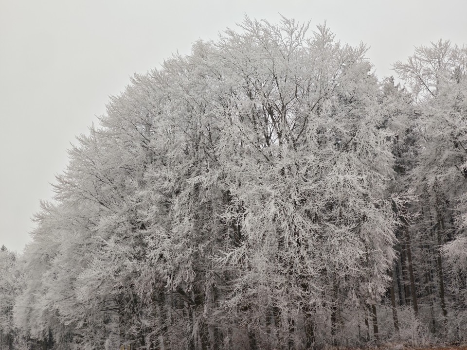 Poco F8 Pro Kamera Tele Tag 50MP