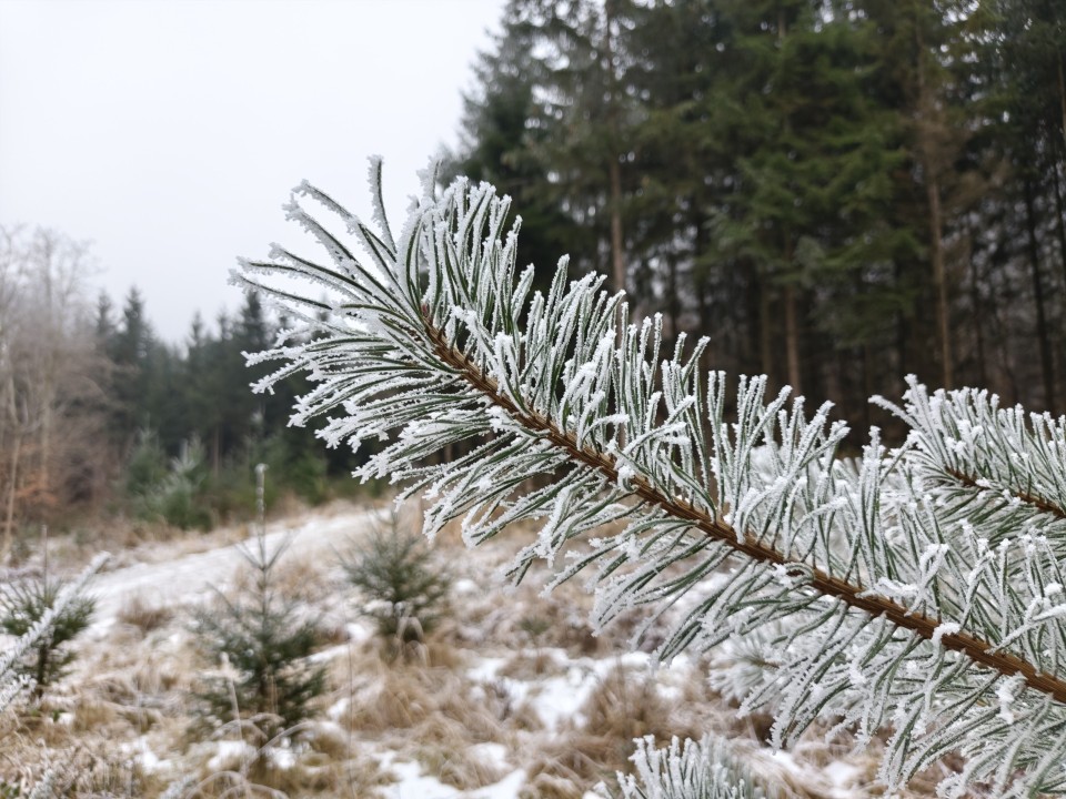 Poco F8 Pro Kamera Haupt Tag 12MP