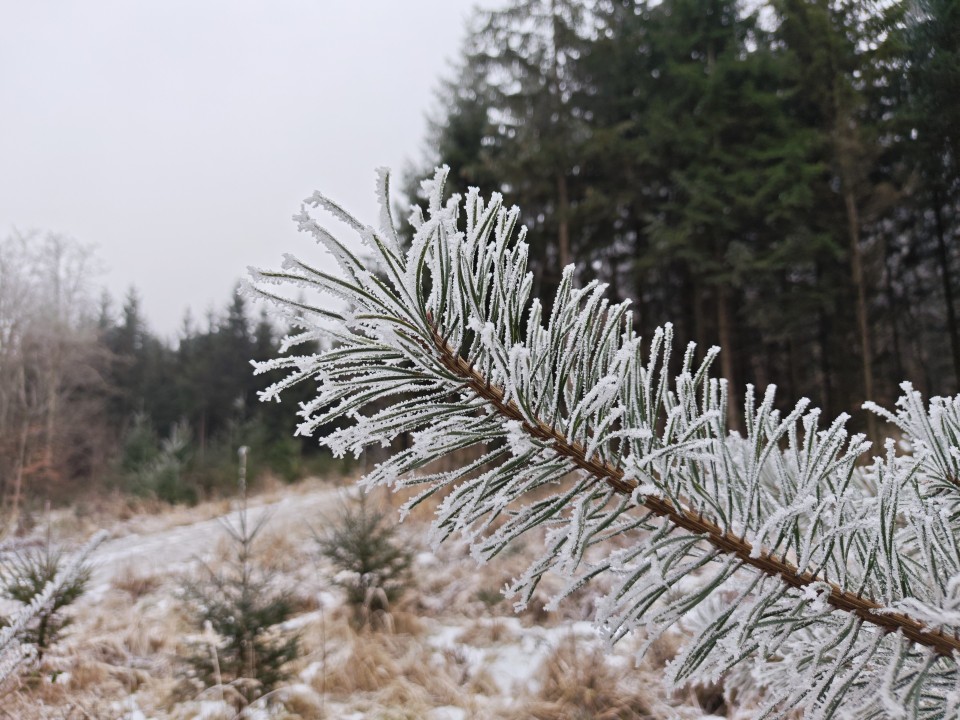 Poco F8 Pro Kamera Haupt 50MP Modus