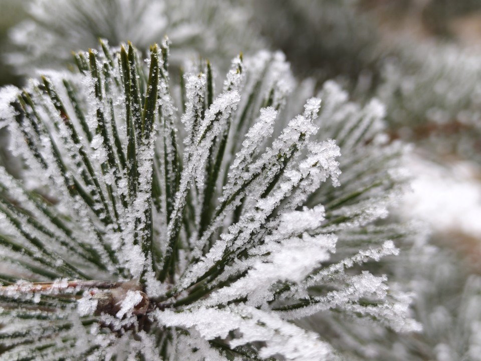 Poco F8 Pro Kamera Haupt Digitalzoom