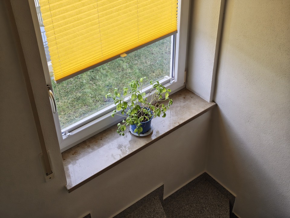 Motorola Edge 70 Kamera 2x Zoom