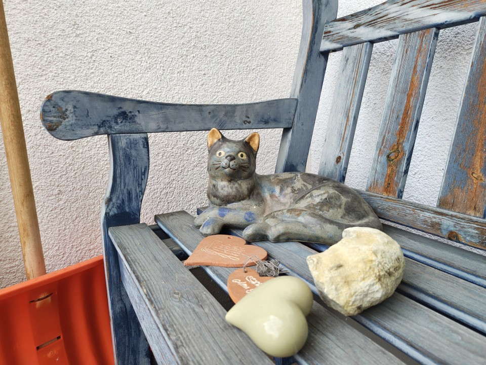 Motorola Edge 70 Kamera Tag 12MP