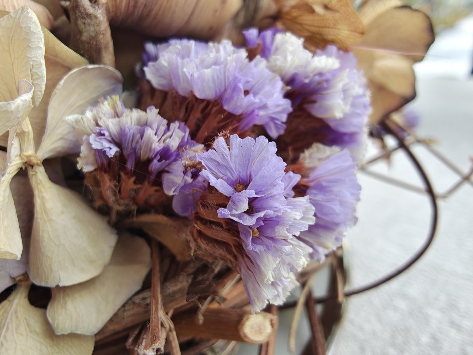 Motorola Edge 70 Kamera Makro