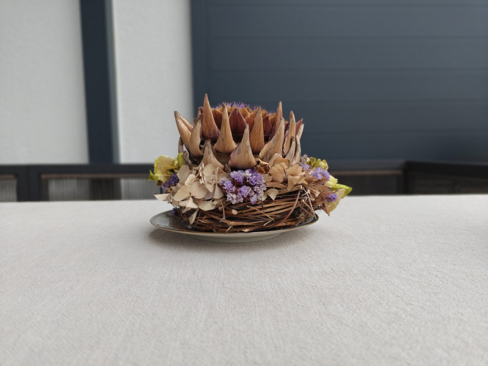 OnePlus 15 Kamera Portrait