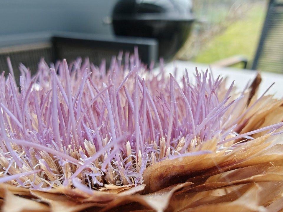 OnePlus 15 Kamera Makro