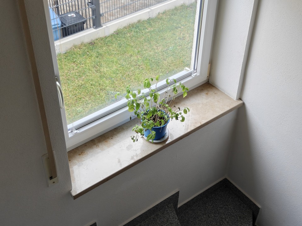 OnePlus 15 Kamera Haupt Digitalzoom