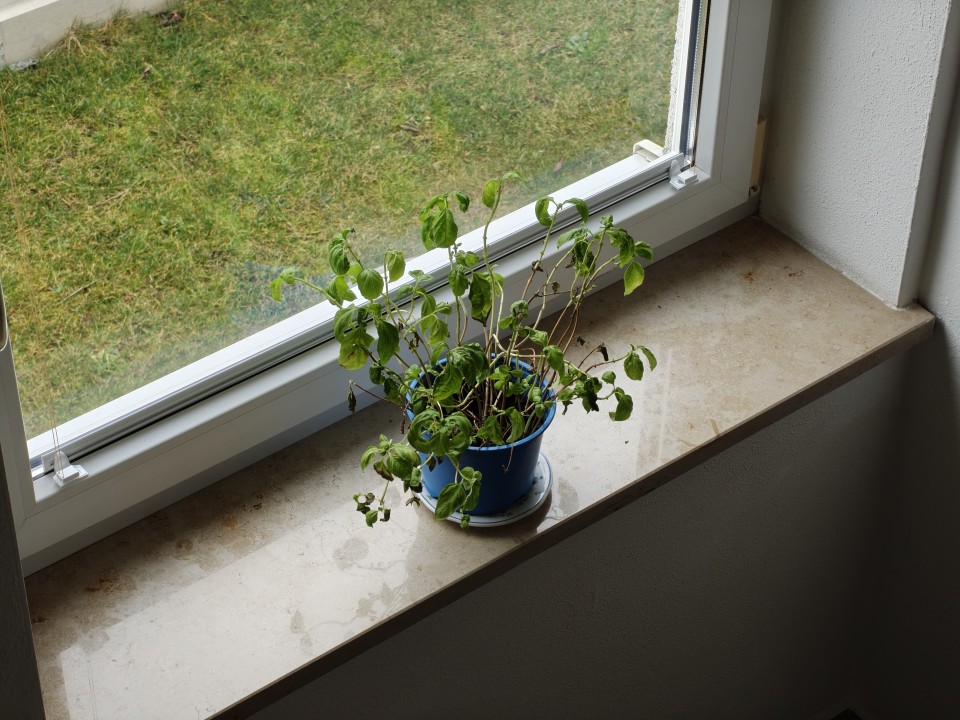 OnePlus 15 Kamera Tele Tag 12MP