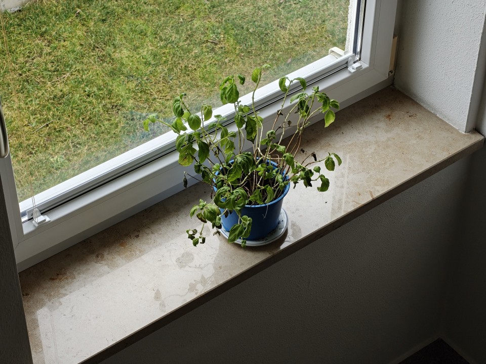 OnePlus 15 Kamera Tele Tag 50MP