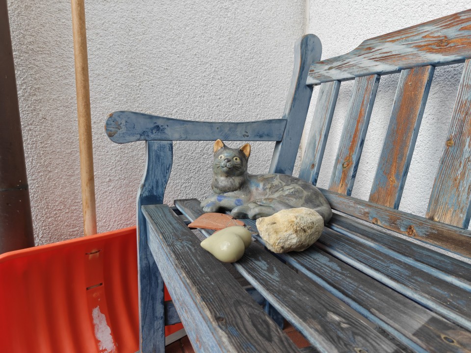 OnePlus 15 Kamera Haupt Tag 12MP