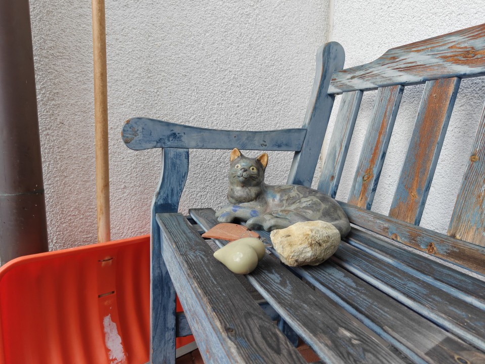 OnePlus 15 Kamera Haupt Tag 50MP