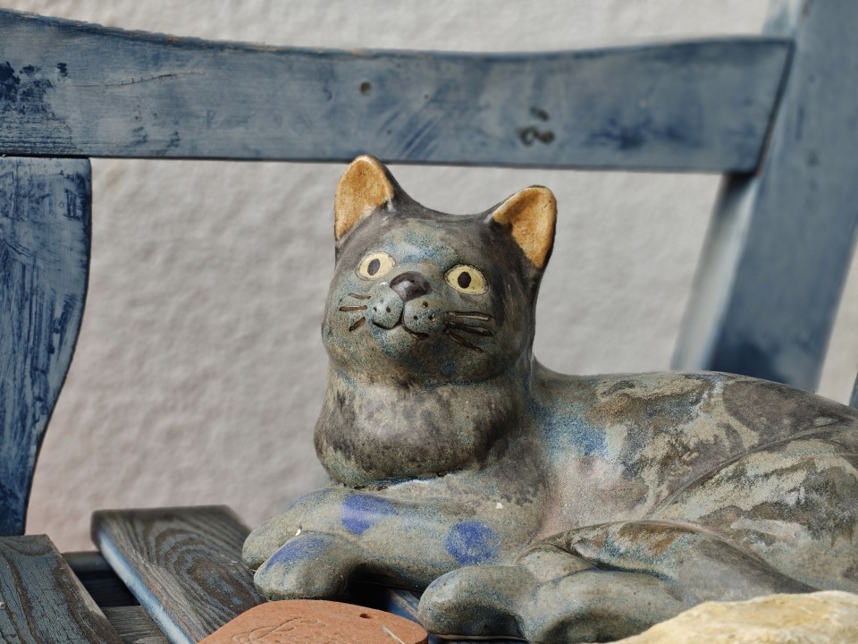 OnePlus 15 Kamera Portrait