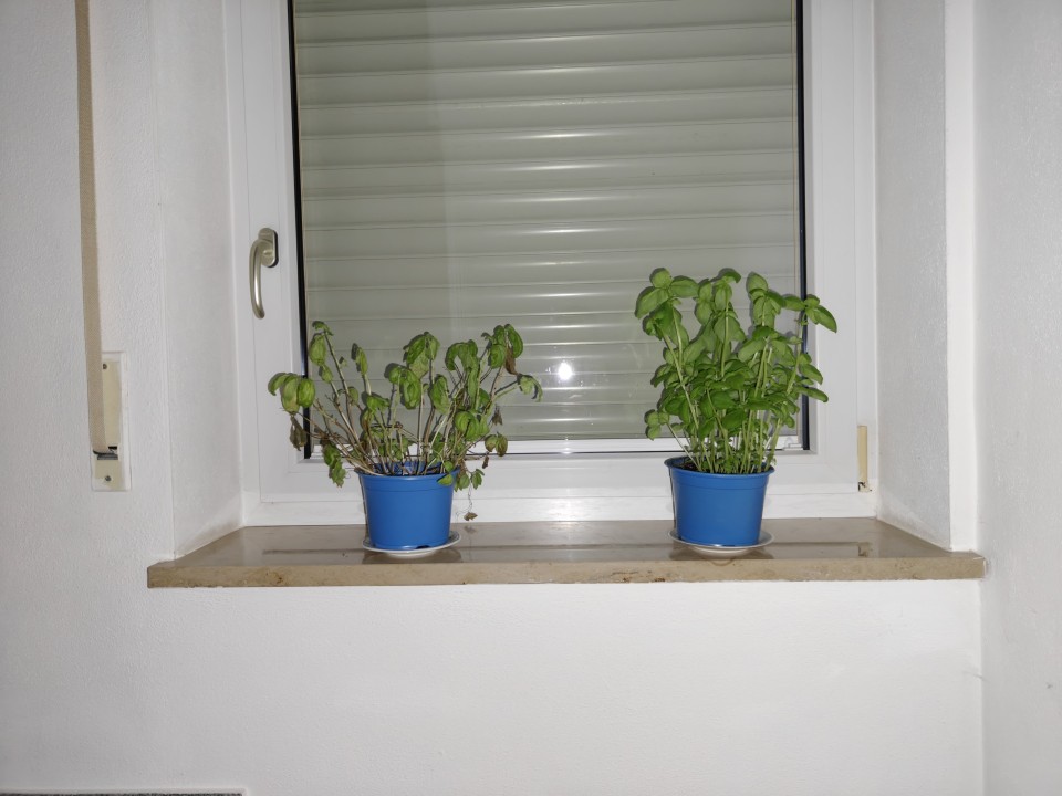 OnePlus 15 Kamera Blitz