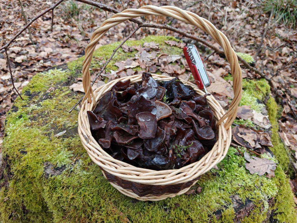 OnePlus 15 Kamera KI Radiergummi