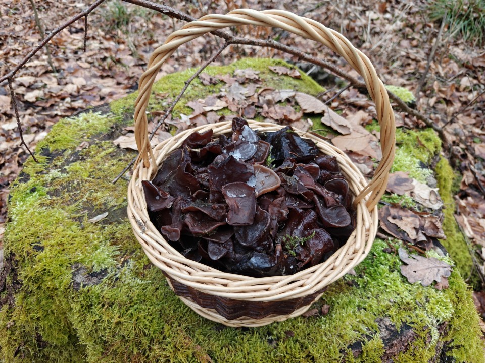 OnePlus 15 Kamera KI Radiergummi