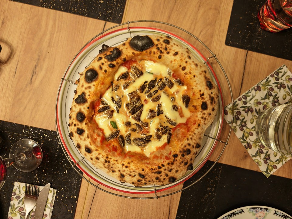 Honor Magic 8 Pro Kamera Haupt Tag 12MP