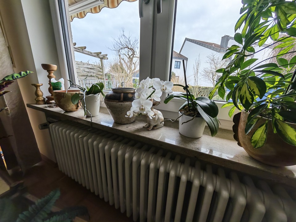 Honor Magic 8 Pro Kamera Ultrawide Tag 12MP