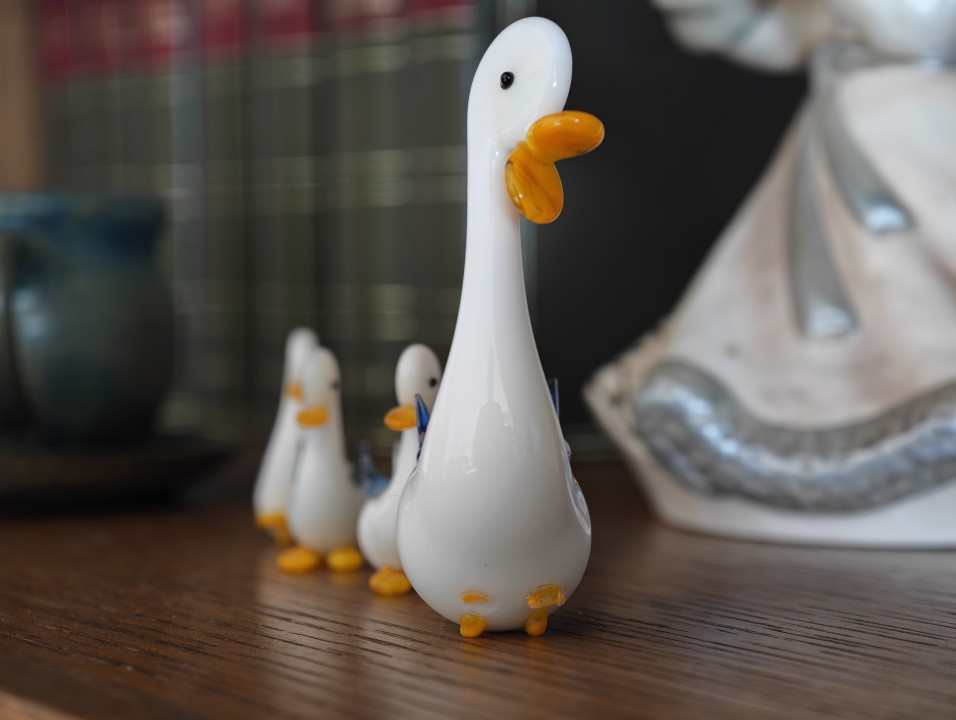 Honor Magic 8 Pro Kamera Makro