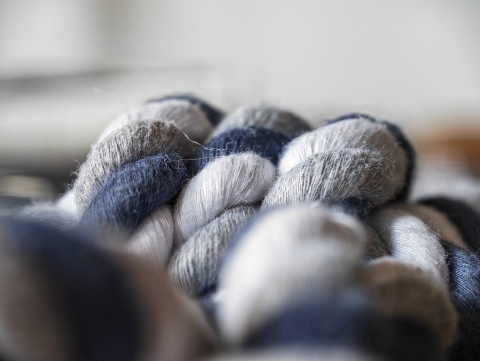 Honor Magic 8 Pro Kamera Makro