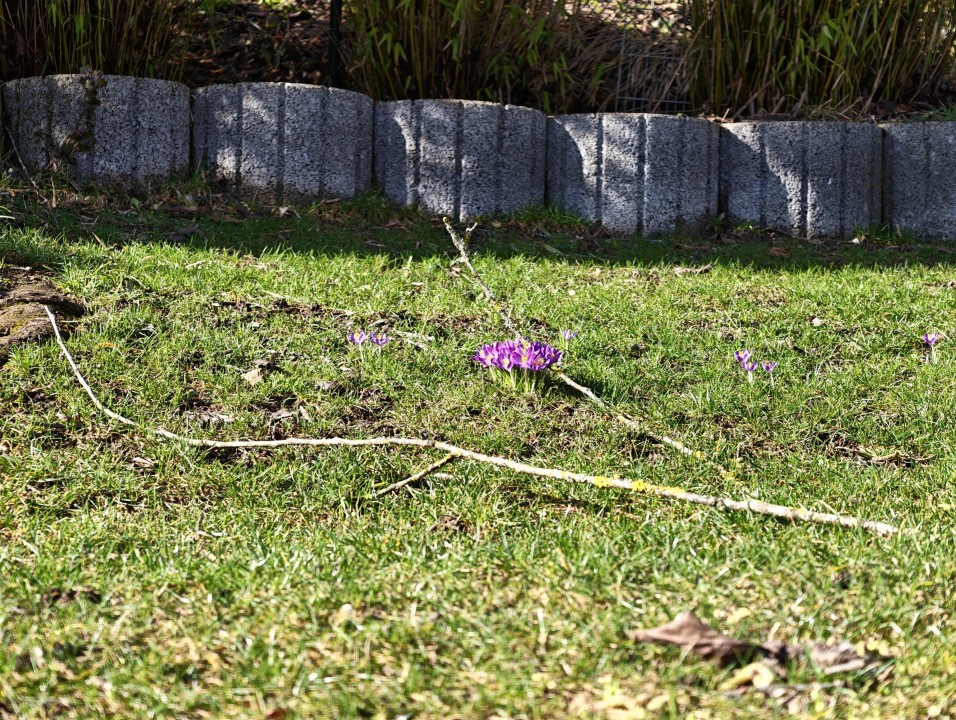 Honor Magic 8 Pro Kamera Tele Tag 12MP