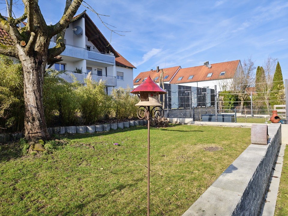 Honor Magic 8 Pro Kamera Haupt Tag 12MP