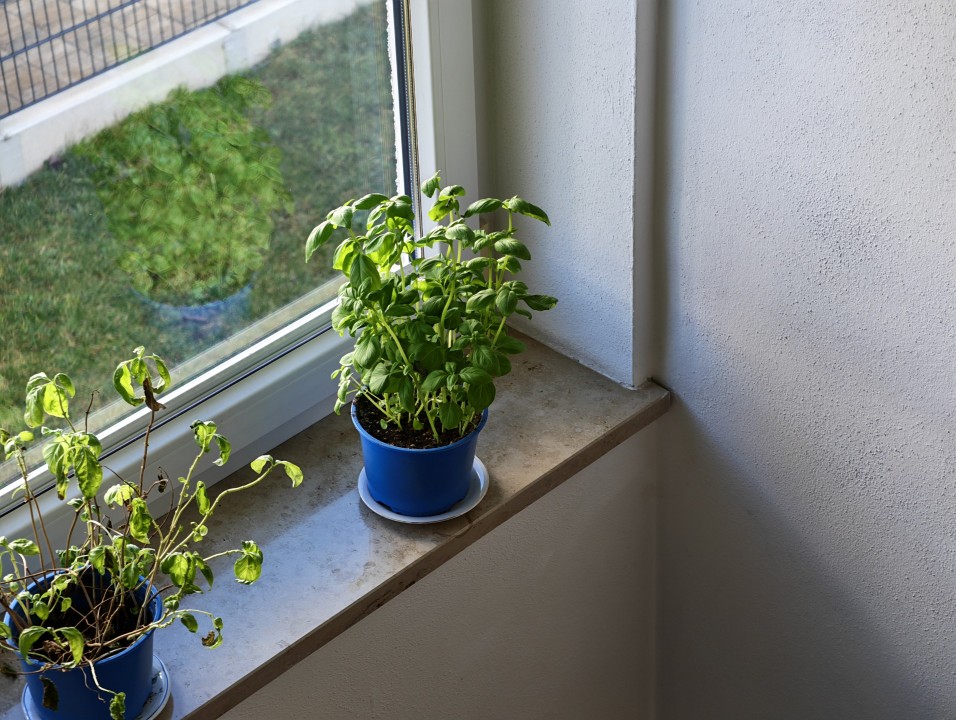 Honor Magic 8 Pro Kamera Tele Tag 12MP