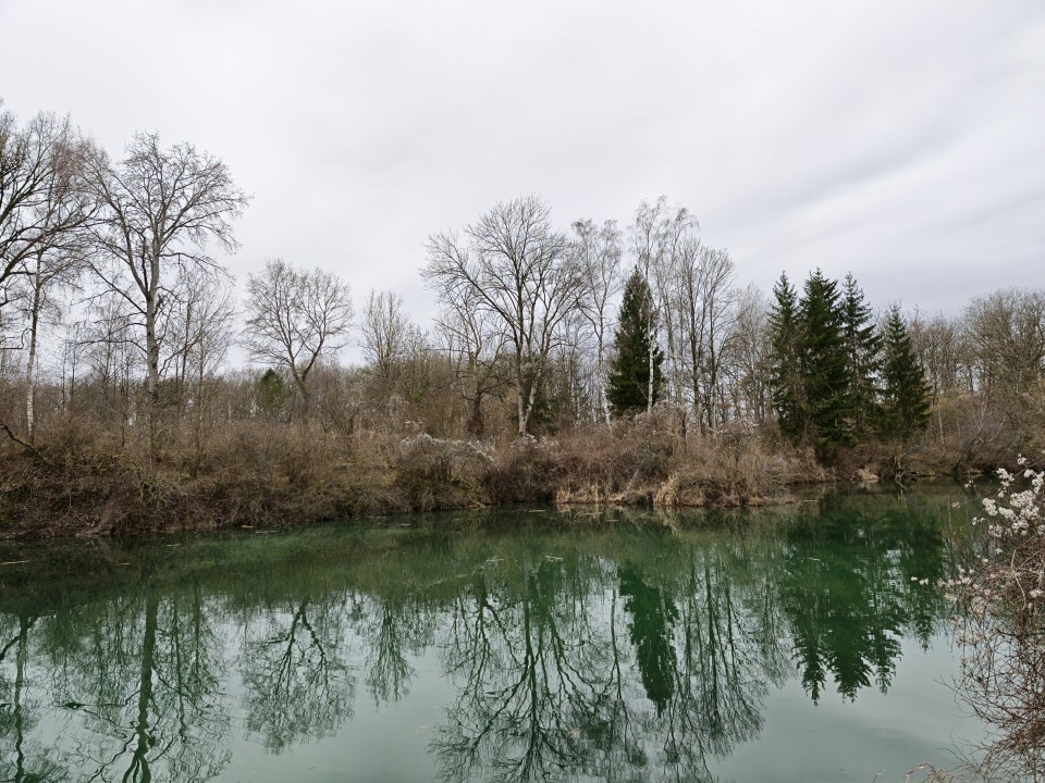 Honor Magic 8 Pro Kamera Haupt Tag 12MP