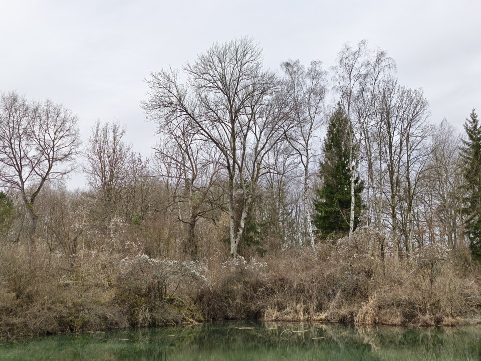 Honor Magic 8 Pro Kamera Haupt Digitalzoom