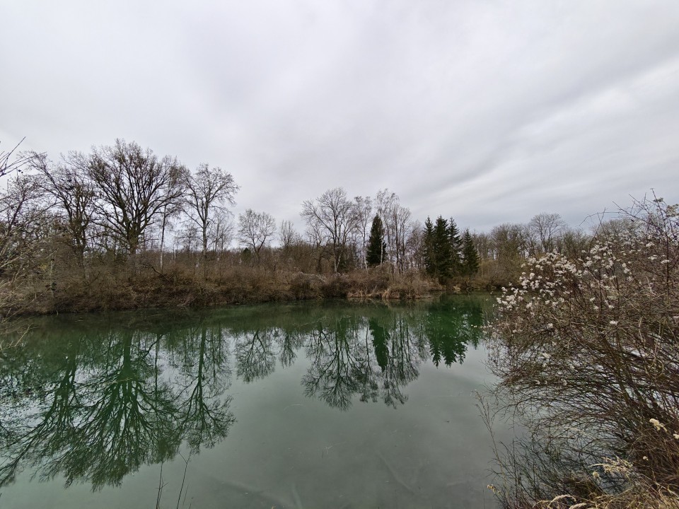 Honor Magic 8 Pro Kamera Ultrawide Tag 12MP