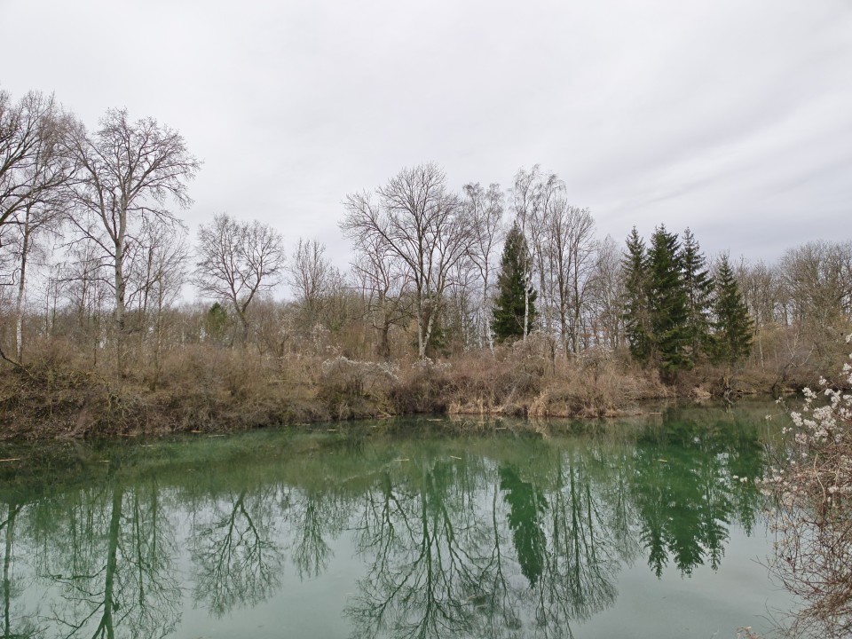 Honor Magic 8 Pro Kamera Haupt Tag 50MP